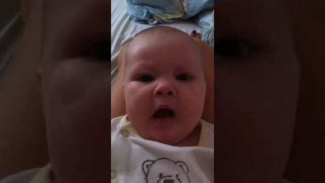 Птица-говорун смотреть онлайн