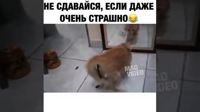 Самые лучшие поделки. смотреть онлайн