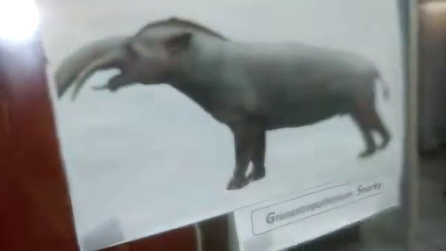 Museo paleontológico- Desierto de la tatacoa смотреть онлайн