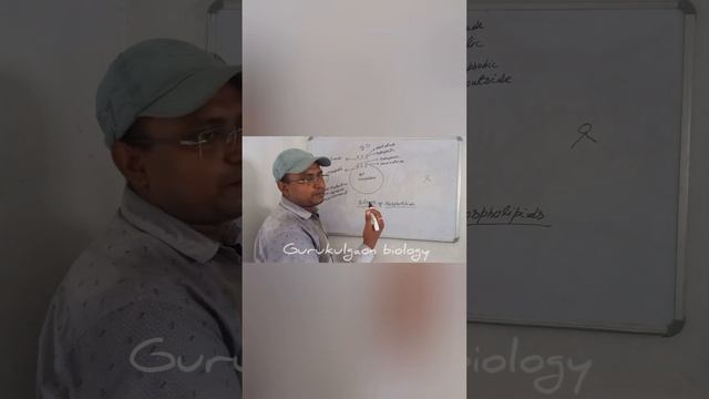 UNIT III: CELL–STRUCTURE AND FUNCTIONS | Chapter 8: The Unit of Life| L1 |phospholipid bilayer смотреть онлайн