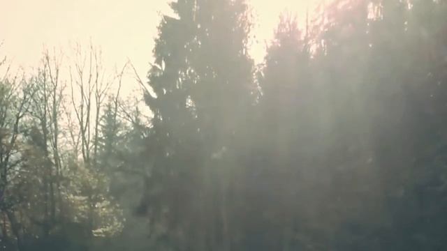 Supra | Edit Phonk Drift смотреть онлайн