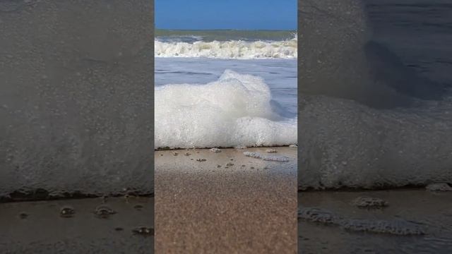 Поселок Волна. Температура воды. 👍 Нажмите два раза на экран. смотреть онлайн