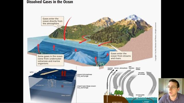 Ocean Water (Part 1): Dissolved Gases смотреть онлайн