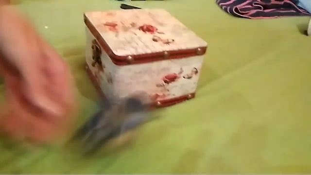 Синица Яся охраняет сокровища от сил зла смотреть онлайн