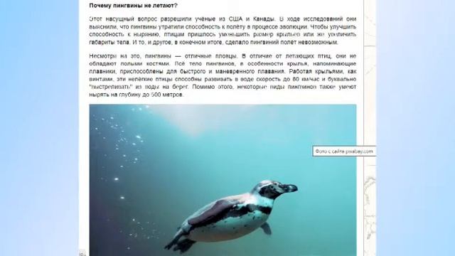 "Пингвин" (СДК Рисовый) смотреть онлайн