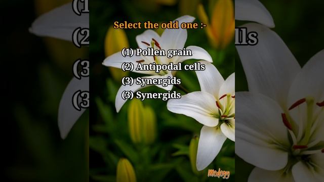 Neet important | Sexual reproduction in flowering plants | mcq 1 #neet #biology #reproduction смотреть онлайн