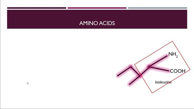 Amino Acids Structures смотреть онлайн