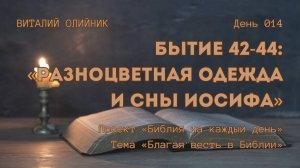 День 014. Бытие 42-44: Разноцветная одежда и сны Иосифа | Библия на каждый день | Благая весть