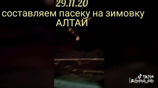 пчелы на зимовку. смотреть онлайн