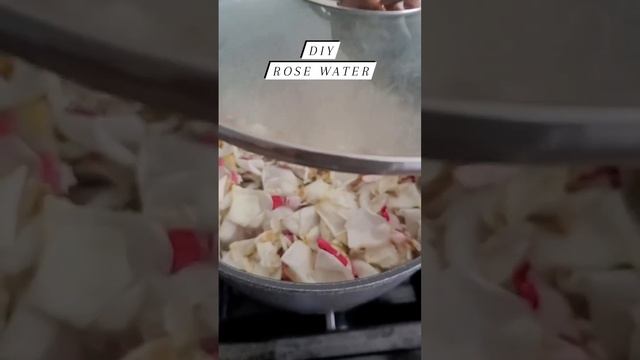 DIY Rose Water смотреть онлайн