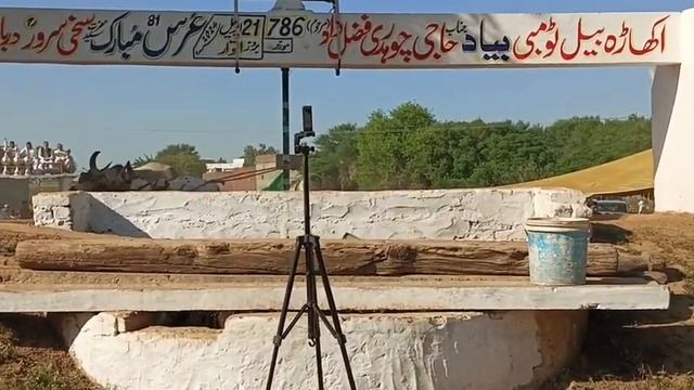 Chaudhry Muhammad Hussain Al Maroof baba Badru of Kikrali | Bull Race Jada Jhelum 21 April 2024 смотреть онлайн