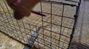 КАК ИЗГОТОВИТЬ КЛЕТКУ ИЗ СЕТКИ ДЛЯ МНОГОЯРУСНОГО МЕТАЛЛИЧЕСКОГО КАРКАСА