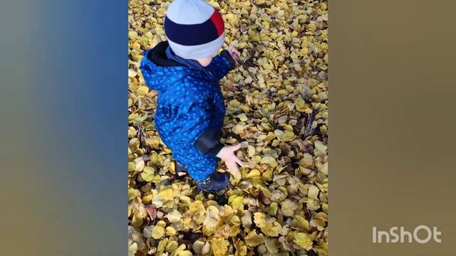 Развитие ребенка смотреть онлайн