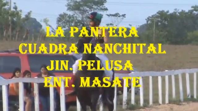 LA ESPADA vs LA PANTERA 100 vrs смотреть онлайн