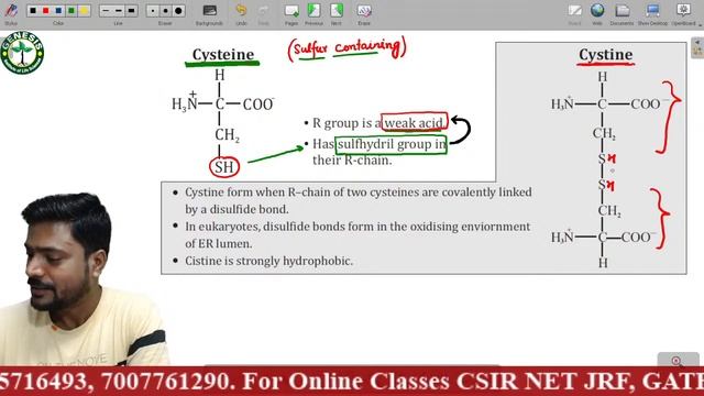 Amino Acids Structure | Biochemistry | Lecture-3 | New online "Batch" for CSIR NET/JRF | IIT-JAM | смотреть онлайн