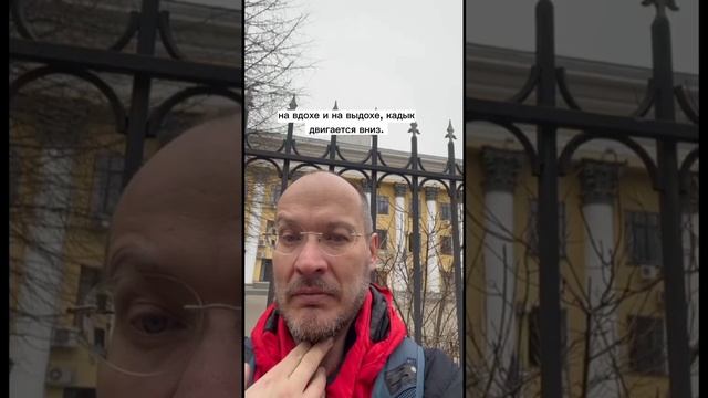 Как помочь иммунитету в весенний период?#аллергии #весна #ортоформа #юрийкриво #здоровье #упражнени смотреть онлайн