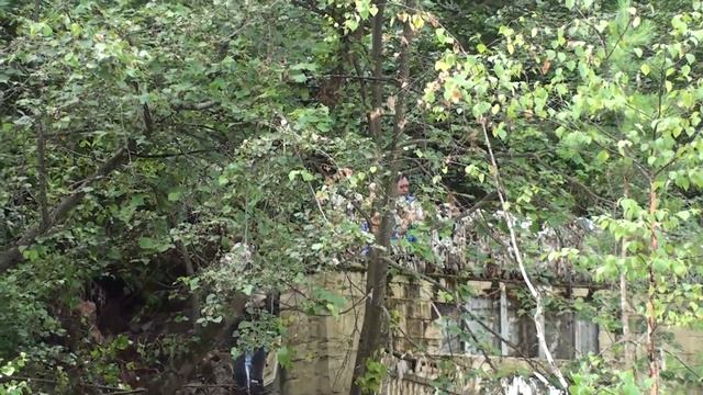 Река Каменка Дикая смотреть онлайн