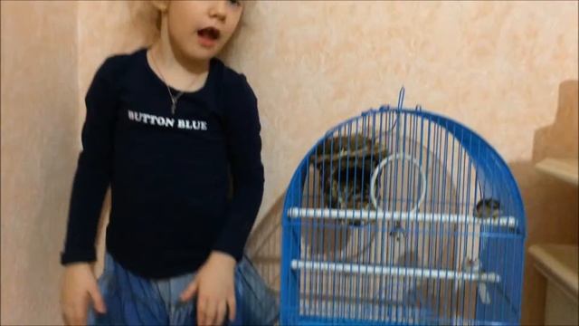 Канарейка +1 смотреть онлайн