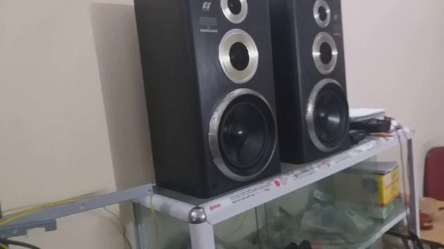 Tét âm Cặp SANSUI S700XD Gửi Khách.Giá....LH 0982.482.610