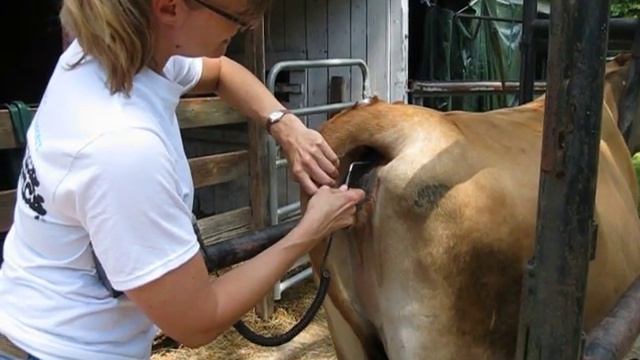 Skills Video #24 - Pulse and Temp смотреть онлайн