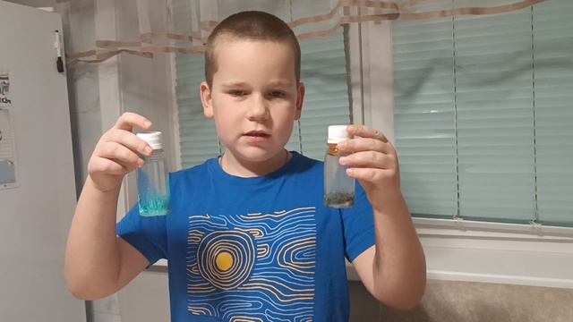 Результат водоросли смотреть онлайн
