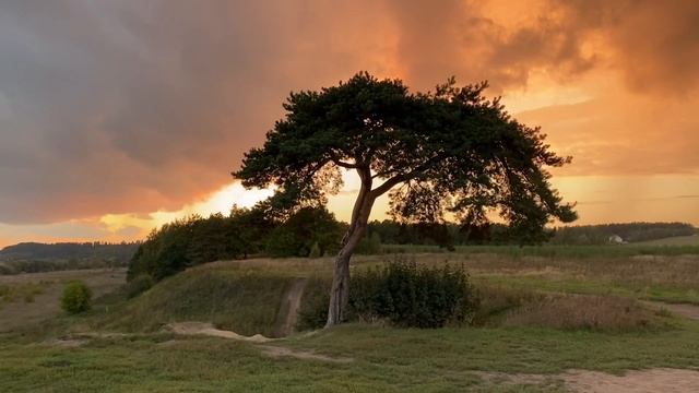 Красота природы.