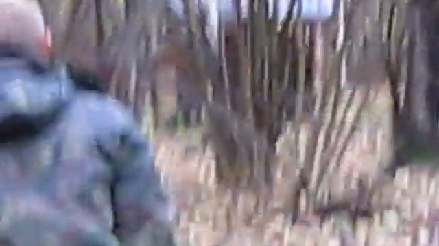 Охота с подхода на кабана смотреть онлайн