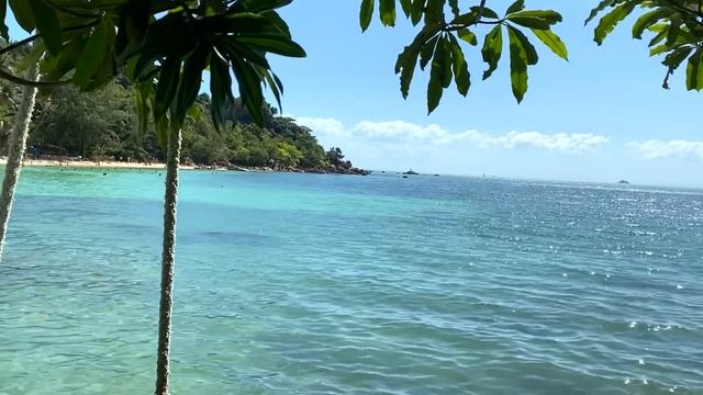Phangan island смотреть онлайн