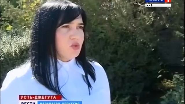 Проблемы автострахования смотреть онлайн