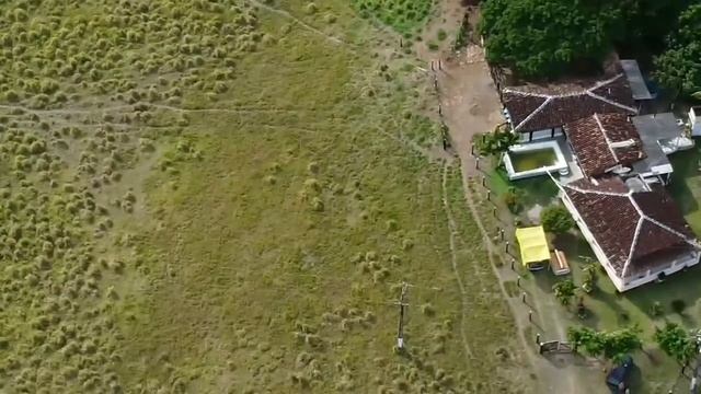 fazenda município de Floresta Azul. смотреть онлайн
