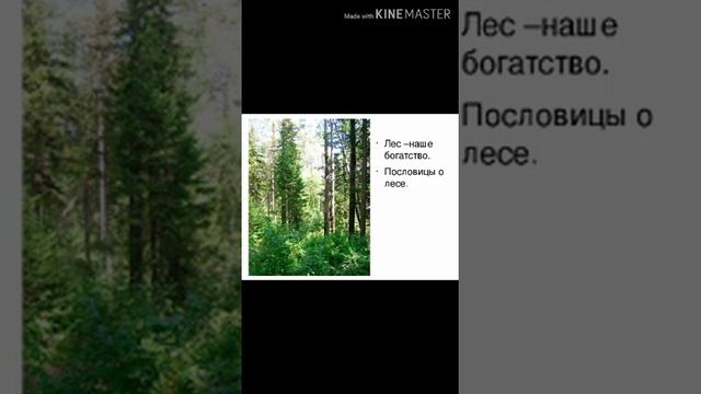 Путешествие в Кладовую природы Сельская библиотека п Северный смотреть онлайн