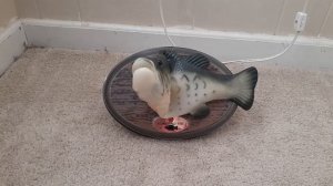 FOR SALE: Big Mouth Billy Bass 15 year edition knockoff