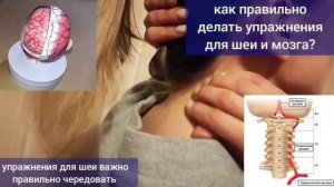 Обзор видеокурса "Укрепление шейного отдела позвоночника"