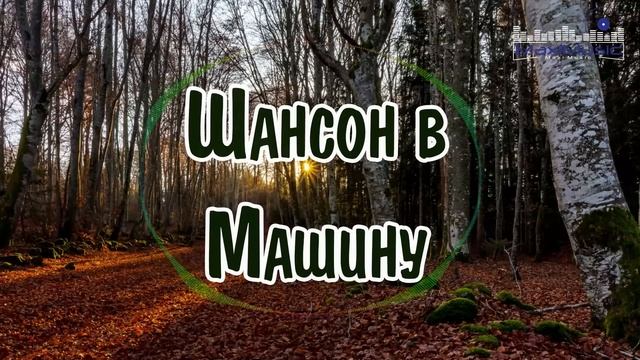 ШАНСОН В МАШИНУ 2024 #54 💃 Шансон 2024 Новинки 🔊 Russian Shanson 2024 🕺 Лучшие Песни Шансона 2024 😛