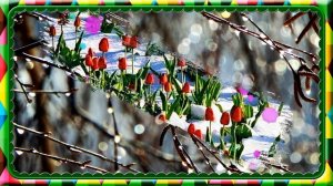 Весенняя капель Муз Александра Кэтлина