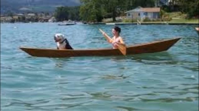 Jambalaya cover 2 смотреть онлайн