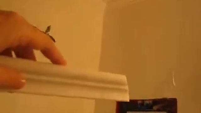 Decor смотреть онлайн