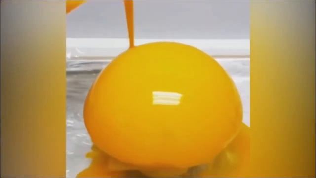 Залипалово на 10 минут