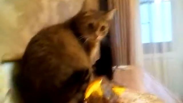 Моя Маруся смотреть онлайн