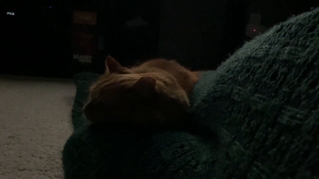 Friends Over For Dinner смотреть онлайн