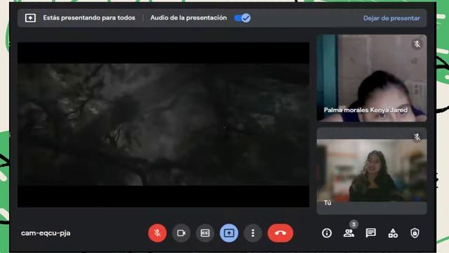 Frida Margarita Ramirez Vasconcelos- PERAJ смотреть онлайн