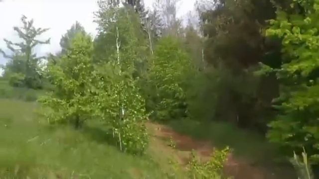 Я забыла обо всём смотреть онлайн
