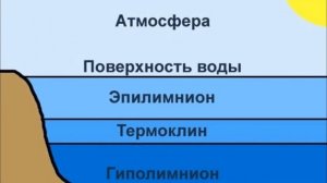 Простое объяснение тону, почему рыба лучше клюёт в ветренную погоду