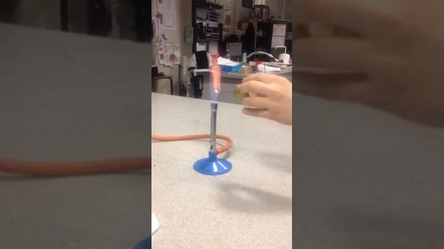 Science b**ch смотреть онлайн