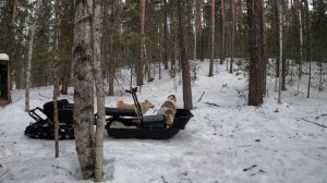 Жизнь в тайге, Лесная изба! Рыбалка на льду! #леснаяизба