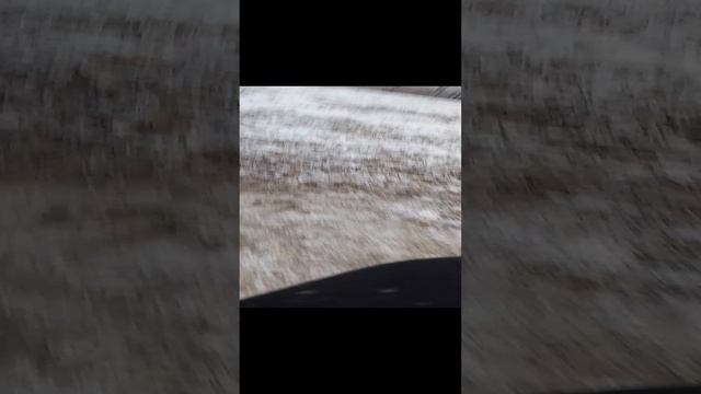 зима и снег пришди к новому году#снег#зима