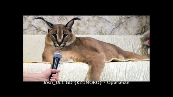 шлёпа ремикс - Оригинал