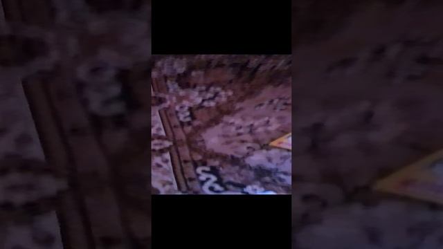 пол это лава вторая часть