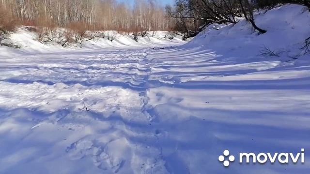 поверили слухам 😂. рыбалка на р. Тара. смотреть онлайн