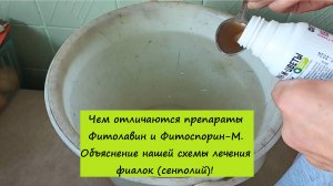 Чем отличаются препараты Фитолавин и Фитоспорин-М. Объяснение нашей схемы лечения фиалок (сенполий)!